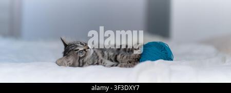 Mignon petit chat tabby jouant avec une pelote de laine bleue sur un lit Banque D'Images