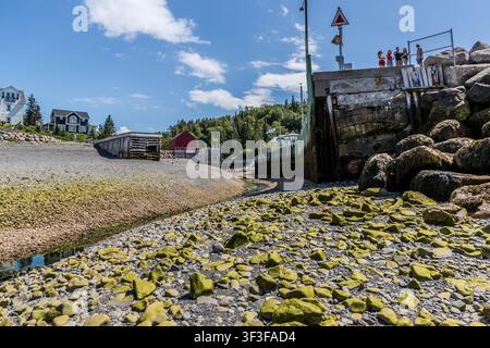 Plusieurs personnes se tiennent sur un quai surélevé surplombant la baie de Fundy sur la Highway 359 à Halls Harbour, en Nouvelle-Écosse, au Canada. Depuis ce point de vue, on peut voir à la fois l'océan ouvert et le bassin du port, qui est exposé à marée basse Banque D'Images