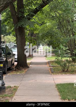 Trottoir le long d'une rue résidentielle dans le quartier de Ditmas Park à Brooklyn, New York, spécifiquement dans le sous-quartier historique de Ditmas Park. La zone est célèbre pour sa rue commerçante animée et ses îlots résidentiels remplis de maisons victoriennes indépendantes. Banque D'Images