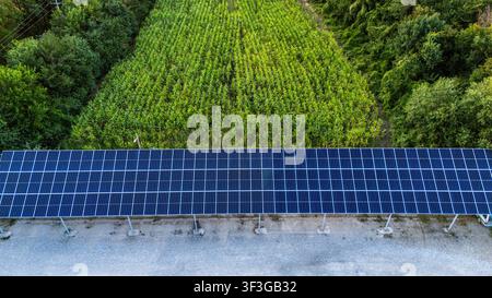 Vue aérienne de panneaux solaires installés dans un champ près de la réserve naturelle spéciale Zasavica à Zasavica, en Vojvodina, Serbie. Banque D'Images