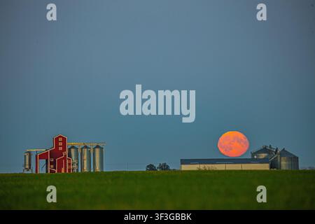 Vue d'un bâtiment agricole rouge et de silos à grains argentés devant une grande lune orange se levant au-dessus d'un champ vert en Lettonie. Banque D'Images