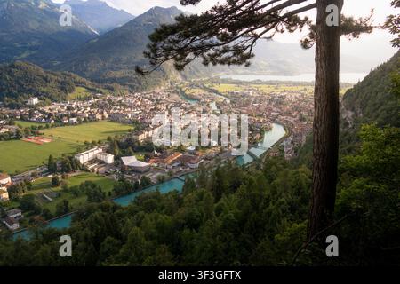 Une vue panoramique estivale depuis le Harder Kulm sur Interlaken et la rivière Aare, encadrée par des pins et les Alpes bernoises. Le paysage présente lusche Banque D'Images