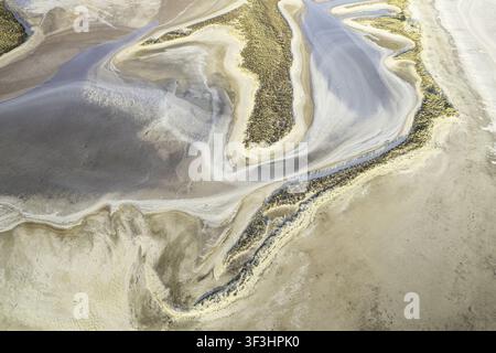 Vue aérienne du lac Tyrrell présentant des motifs complexes de croûte de sel, des textures de lit de lac sec et une végétation désertique clairsemée dans le shire de Buloke, Victoria, Au Banque D'Images
