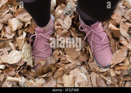 Un plan en vue subjective (POV) de dessus d'une personne debout dans un épais tapis de feuilles d'automne sèches et tombées. Banque D'Images