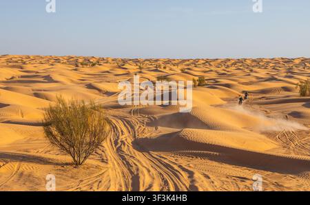 Vue des dunes de sable du désert du Sahara avec des motards soulevant de la poussière et une végétation clairsemée à Douz, gouvernorat de Kebili, Tunisie. Banque D'Images
