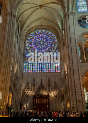 Les vitraux du rosace sud, sous la voûte de la cathédrale Notre-Dame de Paris à Paris, France Banque D'Images