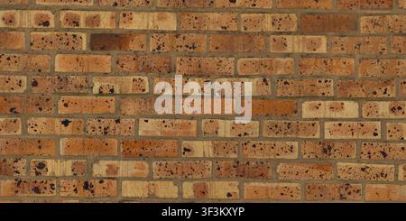 Une surface murale texturée présentant des briques brun clair avec des taches sombres et un aspect rugueux et poreux. Banque D'Images