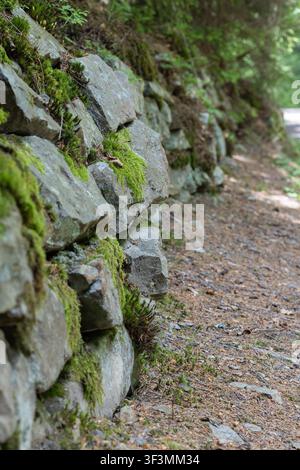 un mur de retenue naturel en pierre recouvert de mousse à côté d'un sentier forestier. La faible profondeur de champ offre un espace de copie sur le côté droit. Banque D'Images