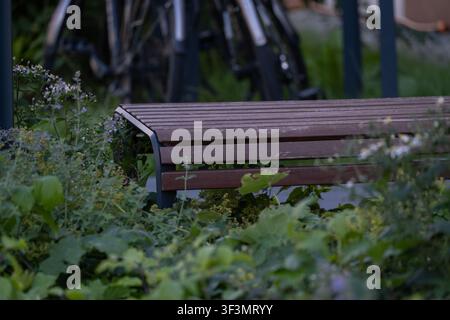 Banc en bois moderne entouré de plantes ornementales luxuriantes dans une cour résidentielle aménagée. Espace extérieur contemporain avec sièges durables Banque D'Images