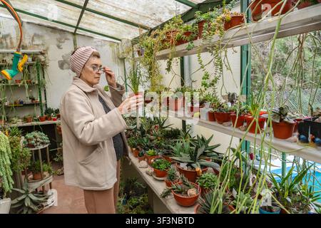 Femme âgée portant des lunettes et un bandeau tricoté rose ajuste ses lunettes tout en tenant un petit pot de succulente sur une étagère de serre, avec un Haworthia dense Banque D'Images