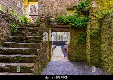 Vue intérieure des ruines en pierre anciennes en Irlande montrant un escalier en pierre couvert de mousse à gauche et un couloir étroit menant à un spa de chapelle en plein air Banque D'Images