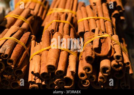 Vue de faisceaux de bâtons de cannelle attachés sur un étal de marché Banque D'Images