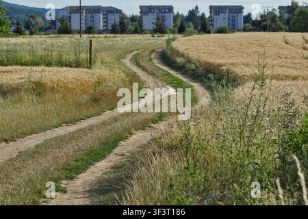 Vue en contre-plongée d'une piste en terre incurvée traversant de l'herbe sèche d'été et un champ de blé mûr avec des bâtiments résidentiels situés en arrière-plan d Banque D'Images