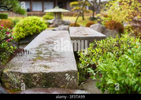Une scène de jardin japonais traditionnel mettant en scène des dalles de cheminement en pierre humide entourées d'une végétation verte luxuriante. Au premier plan, deux grandes formes rectangulaires Banque D'Images