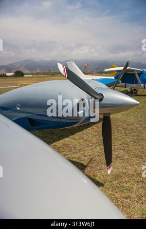 Close-up d'une petite hélice d'avion sur un aérodrome herbeux, sous un ciel nuageux. La brillance métallique de l'hélice et la scène calme mettent en valeur l'aviation Banque D'Images
