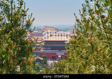 Vue panoramique du complexe du palais de la Cité interdite encadré par des pins à Pékin, en Chine. Banque D'Images