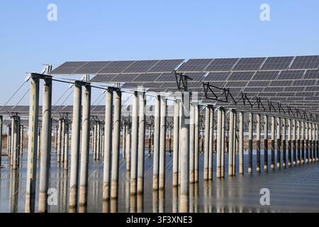 Prise de vue grand angle d'une centrale photovoltaïque solaire flottante à grande échelle sur un plan d'eau calme. Des rangées de pieux en béton soutiennent l'arrangement de panneaux solaires Banque D'Images