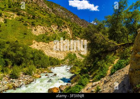 Un ruisseau de montagne aux eaux vives cascade sur les rochers dans une gorge luxuriante. Une journée claire et ensoleillée met en valeur les couleurs vibrantes de l'eau claire et du feuillage vert. Banque D'Images