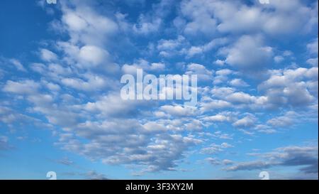 Formation de nuages altocumulus contre un ciel bleu profond en Suisse Banque D'Images