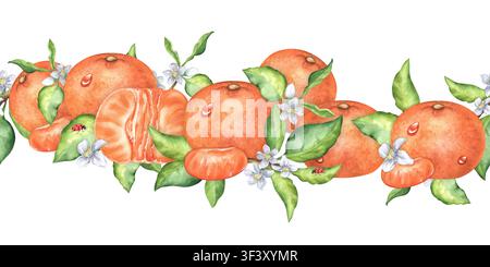 Bordure horizontale sans couture en aquarellé de mandarini juteux, segments et fleurs d'agrumes. Illustration peinte à la main. Parfait pour la décoration intérieure, jus Banque D'Images