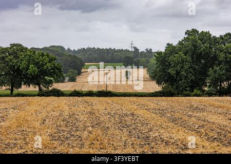 Champs de blé récoltés et collines ondulantes sous un ciel nuageux à Coesfeld, Allemagne Banque D'Images