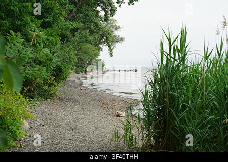 La rive est du lac Seneca à Hector, New York, le 17 juillet 2026. Banque D'Images