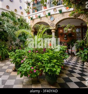 Un patio andalou traditionnel rempli de fleurs en pot et de plantes luxuriantes pendant le Festival du Patio de Cordoue à Cordoue, Andalousie, Espagne. Banque D'Images