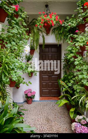 Une entrée de patio remplie de fleurs pendant le festival Patios de Cordoue au printemps, Cordoue, Andalousie, Espagne, éclairée par une douce lumière naturelle. Banque D'Images