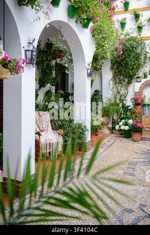 Une cour traditionnelle remplie de plantes en pot en fleurs pendant le Festival des Patios à Cordoue, Andalousie, Espagne, sous la lumière vive du printemps. Banque D'Images