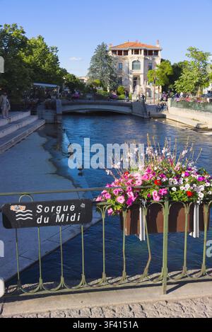 Vue sur le canal de la Sorgue avec un pont orné de fleurs et le panneau „Sorgue du Midi“ à L'Isle-sur-la-Sorgue, Vaucluse, France. Banque D'Images