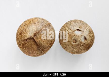 Grossissement de deux noix de coco entières sur fond blanc Banque D'Images