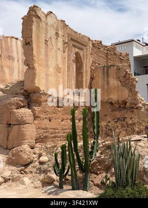 Ruines en briques de boue effondrées avec une vieille arche, encadrées par des plantes cactus, à Tamraght, Maroc Banque D'Images