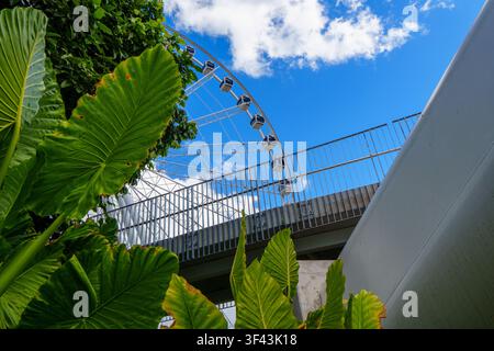 Prise de vue en contre-plongée d'une grande roue derrière un pont moderne, encadrée par des feuilles vertes vibrantes sous un ciel bleu. Banque D'Images