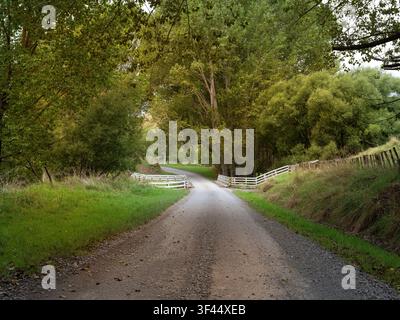 Route, fond de voiture, plaque arrière automobile, route de campagne tranquille bordée d'arbres Banque D'Images