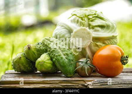 Une surface en bois rustique présente un assortiment éclatant de légumes biologiques fraîchement cueillis, prêts pour un repas sain Banque D'Images