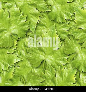 Fonds sans couture en feuilles de vigne – motif texturé pour une réplication continue. Voir plus de fonds sans couture dans mon portfolio Banque D'Images