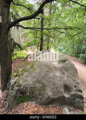 Grand rocher de grès moussu à côté d'un chemin de terre dans une forêt verdoyante Banque D'Images