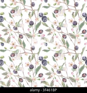 Motif sans couture de branches de mûrier fleuries avec feuilles et baies, habitat naturel d'arbustes de boisés mélangés. Illustration botanique à l'aquarelle Banque D'Images