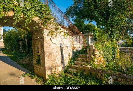 Ancien escalier en pierre recouvert de vignes vertes menant à une arche usée, illuminé par une lumière vive dans un cadre de jardin extérieur tranquille. Banque D'Images