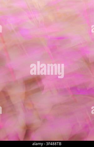Fond d'art abstrait avec mouvement de caméra intentionnel et flou de mouvement doux. Une palette de tons roses et terre crée un arrière-plan rêveur et texturé fo Banque D'Images