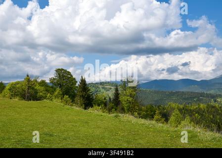 Paysage montagneux d'été magnifique avec forêt verte, prairie herbeuse et ciel bleu parsemé de nuages blancs dans une nature paisible. Banque D'Images