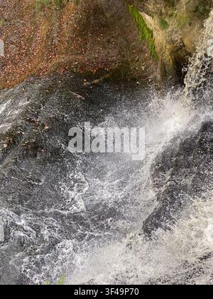Gros plan, regardant vers le bas sur une section de la chute Laughing Whitefish, dans la zone panoramique de Laughing Whitefish Falls, Rock River, Michigan, États-Unis Banque D'Images