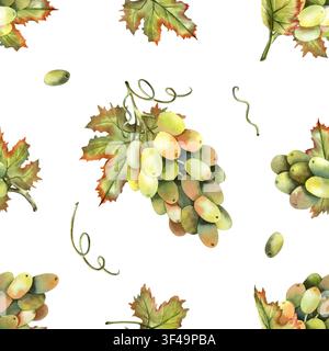Motif sans couture de raisins verts à l'aquarelle. Raisinier peint à la main répétitif, baies fraîches, feuilles vertes isolées sur fond blanc pour la cuisine Banque D'Images