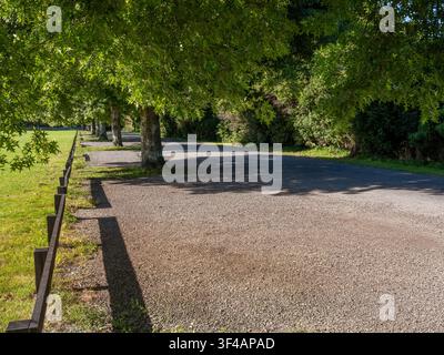 route, fond de voiture, plaque arrière automobile, route de campagne tranquille dans un environnement de parc bordée d'arbres verts Banque D'Images