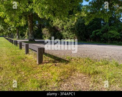 route, fond de voiture, plaque arrière automobile, route de campagne tranquille dans un environnement de parc bordée d'arbres verts Banque D'Images