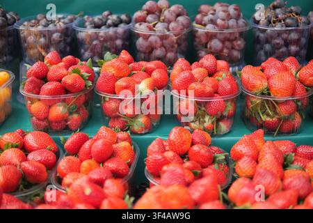 Fraises et raisins frais sur un étal de marché Banque D'Images