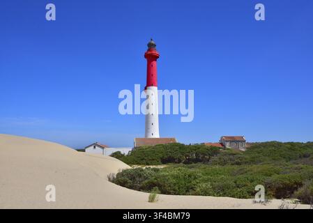 Le phare de la Coubre sur la péninsule d'Arvert sur la Côte Sauvage dans le département de la Charente-Maritime dans la région Nouvelle-Aquitaine, F Banque D'Images