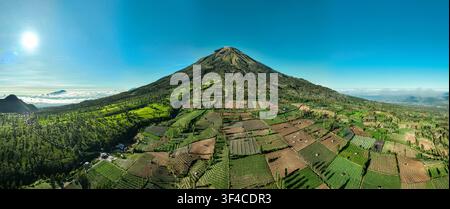 Vue aérienne du Tambi Tea Resort avec des plantations de thé luxuriantes et des champs agricoles sur les pentes d'une montagne majestueuse sous un ciel bleu clair à Banque D'Images