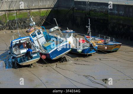 Quatre bateaux de pêche à marée basse dans le petit port d'Amble, Northumberland, Angleterre Banque D'Images