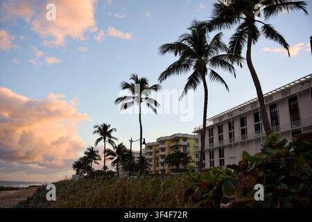 Palmiers silhouettés devant un bâtiment d'hôtel au coucher du soleil Banque D'Images